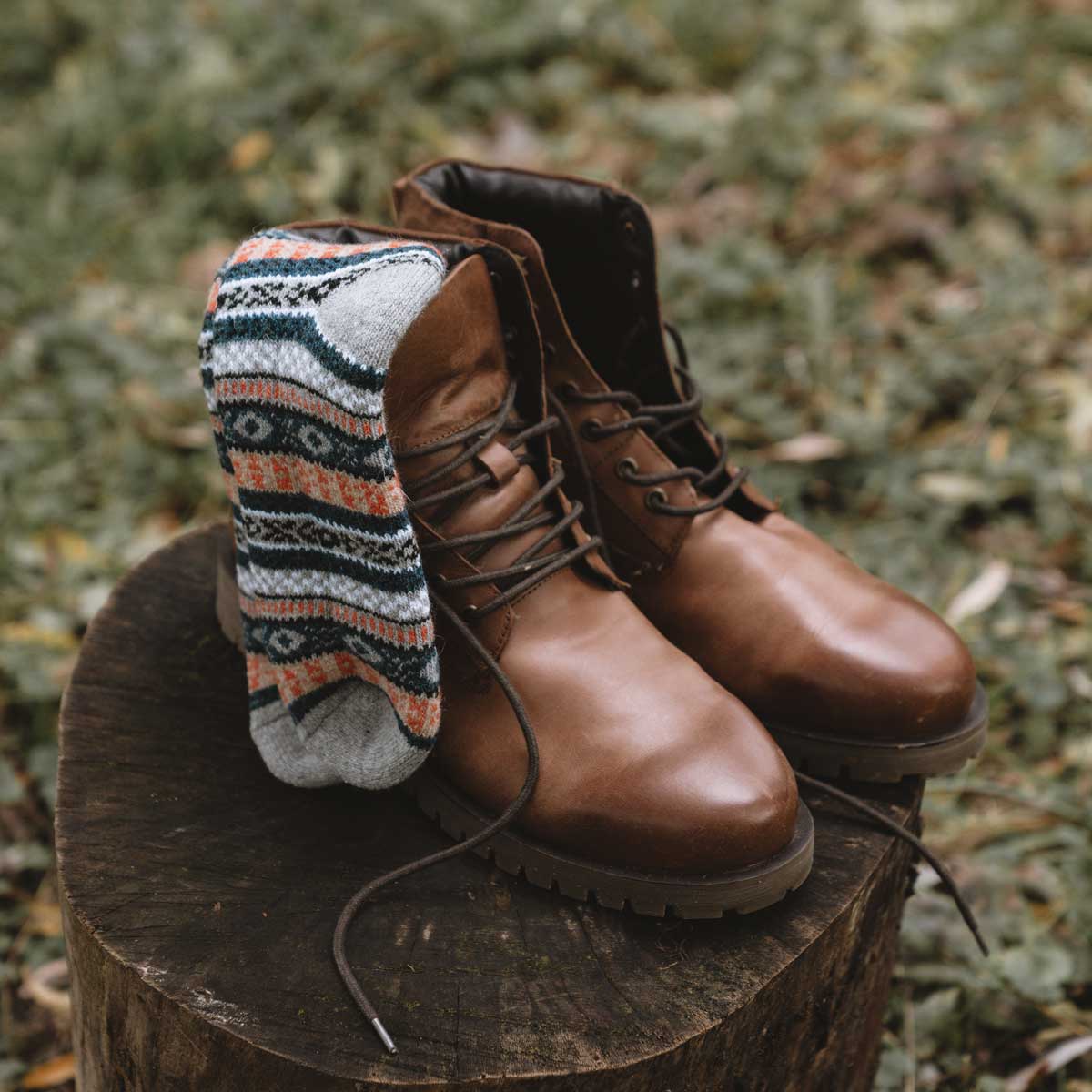 Ragnar Lana (5 paia)